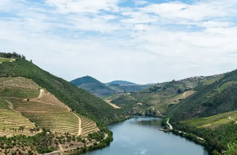 Aerial view of a river cruise route winding through terraced Douro Valley vineyards under a partly cloudy sky.