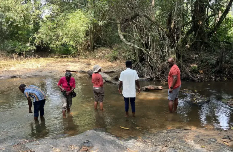 Five travelers wade in a shallow jungle river during the eat-mea-2024 trip; surrounded by dense tropical forest.