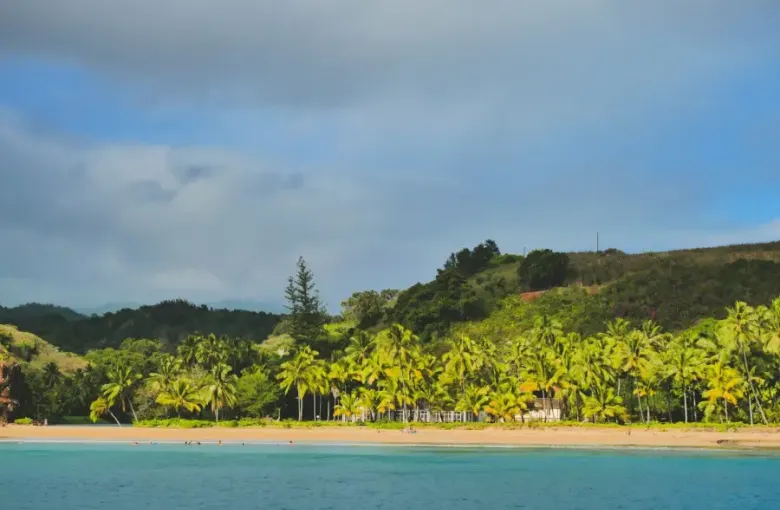 Turquoise water meets a golden palm-lined beach below lush tropical hills in the South Pacific.