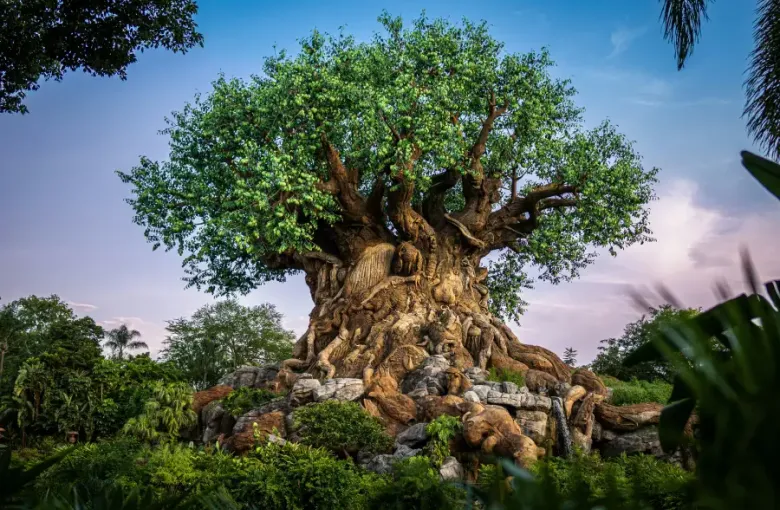 The Tree of Life at Disney's Animal Kingdom in Orlando; FL; featuring intricate animal carvings on its massive sculpted tr...