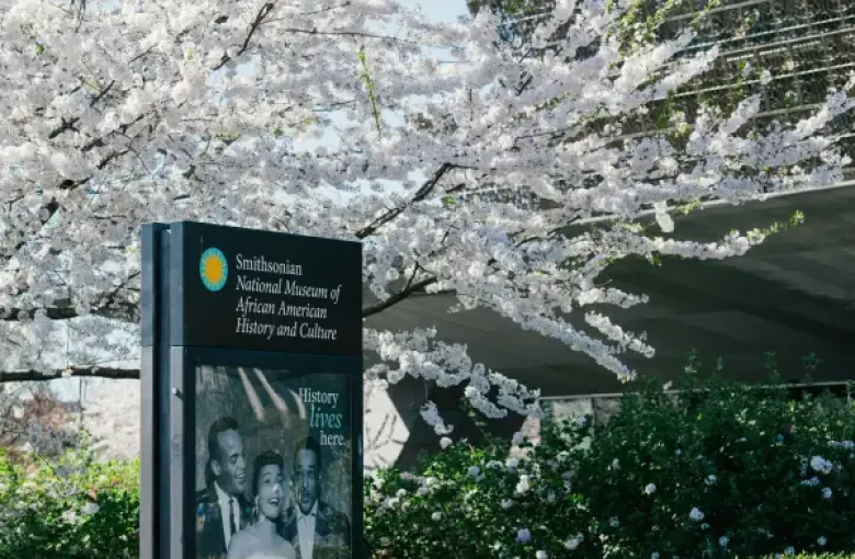 Smithsonian National Museum of African American History and Culture sign amid cherry blossoms in Washington; DC; with the...