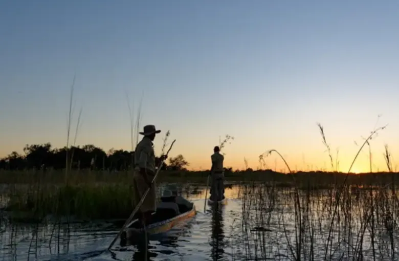 A guide poles a mokoro dugout canoe through delta reeds at sunset.