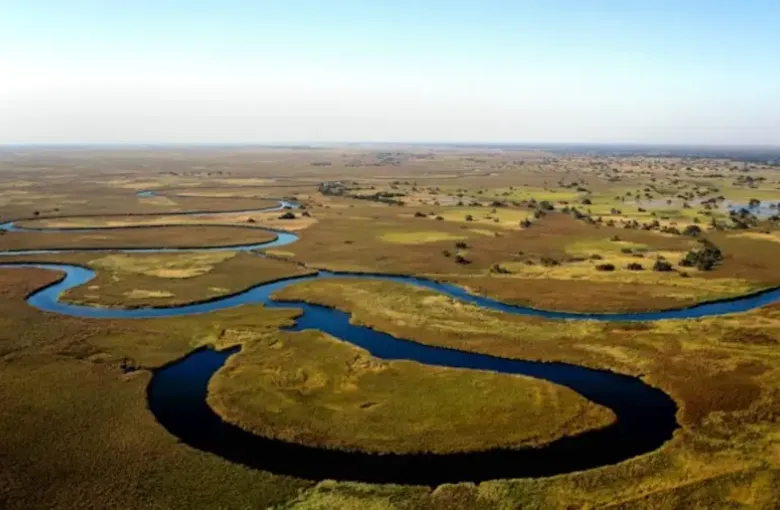 Aerial view of a meandering channel winding through the green floodplain of the Okavango Delta.