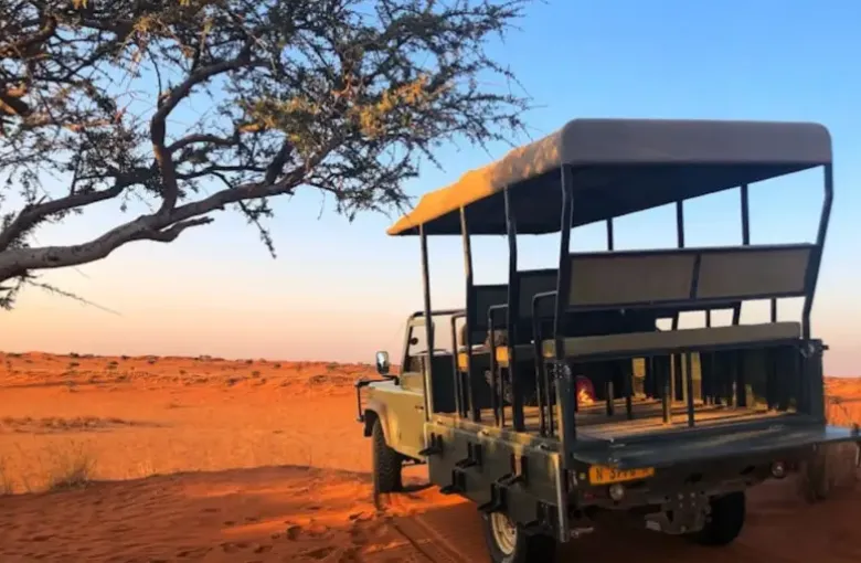 An open safari vehicle parked on red desert sand beneath a thorn tree at sunset.