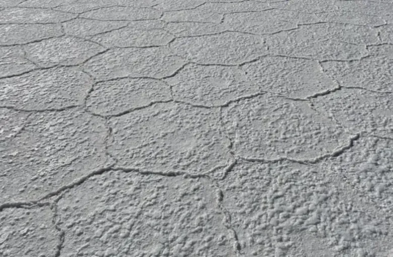 The cracked white crust of a dry salt pan stretching to the horizon.