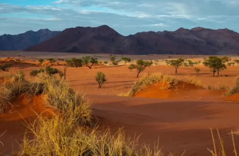Red desert plain with scattered grass and thorn trees below a line of dark mountains.