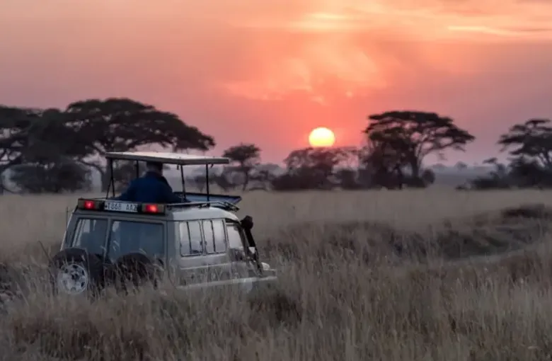 An open safari vehicle pauses in tall grass as the sun sets over the bush.