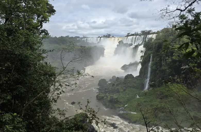 Tiers of the Iguazu Falls dropping through forest into the gorge, seen from the Argentine bank.