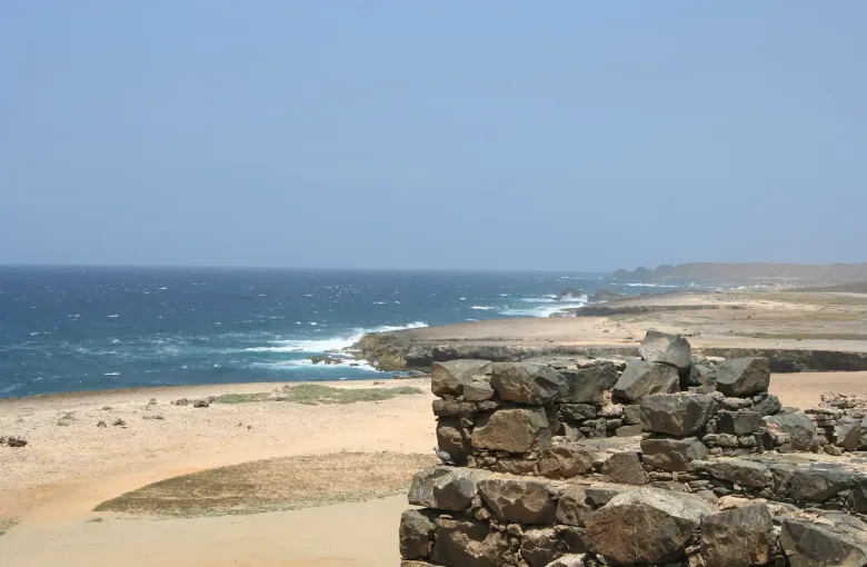 The rugged north coast of Aruba, surf breaking along a low sandy shore beside the Bushiribana ruins.