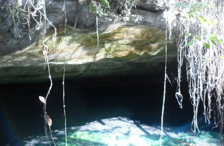 The limestone overhang and clear blue water of Ben's Cave, an inland blue hole in Lucayan National Park.