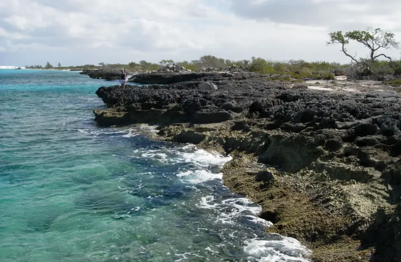 Jagged limestone ironshore and surf on the north shore of Great Inagua, with one person standing on the rock.