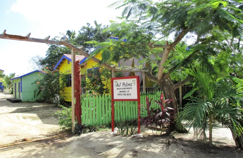 A sandy lane in the Garifuna village of Hopkins, lined with brightly painted wooden buildings.