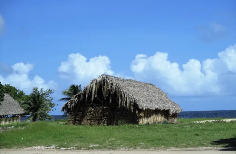 A traditional Garifuna house at Hopkins, thatched roof and walls, on grass above the shoreline.