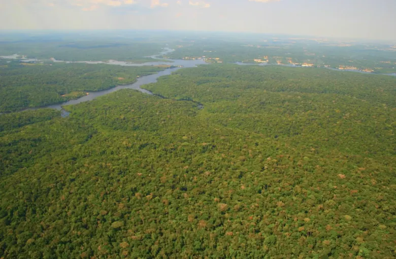Unbroken rainforest canopy reaching to the horizon along a wide bend of the Rio Negro near Manaus.