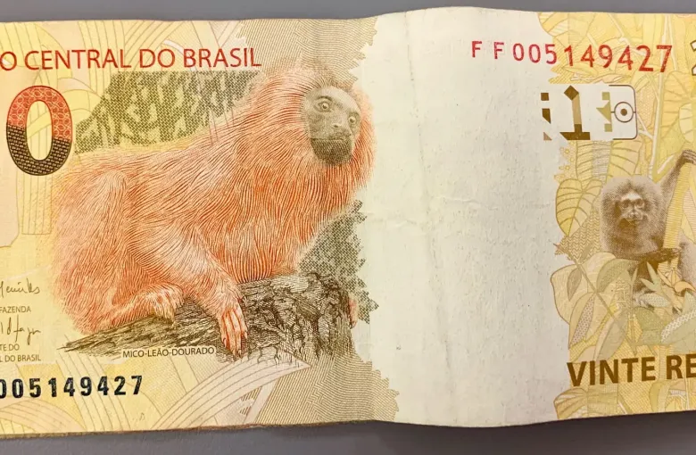 A twenty real banknote issued by the Banco Central do Brasil, showing a golden lion tamarin.