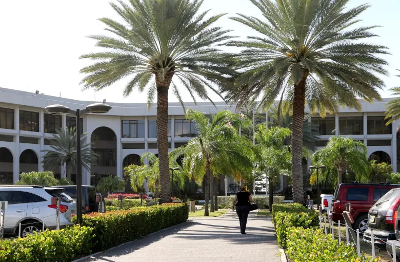 A long white colonnaded building behind royal palms on a Road Town street, with cars parked alongside.