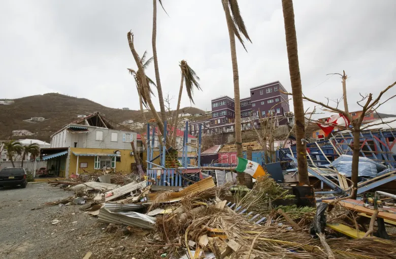 A Road Town street after Hurricane Irma: stripped palms, torn roofing and debris piled against buildings.