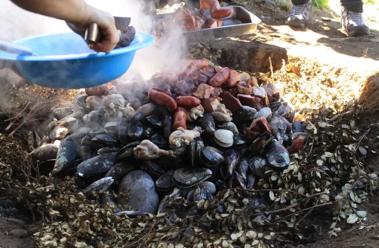 Mussels, clams, sausage and pork steaming on hot stones as a curanto al hoyo is uncovered on Chiloe.