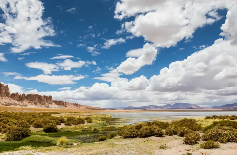 A shallow salt lagoon and wetland on the high altiplano near San Pedro de Atacama, with eroded rock towers to one side and summer cloud building overhead.