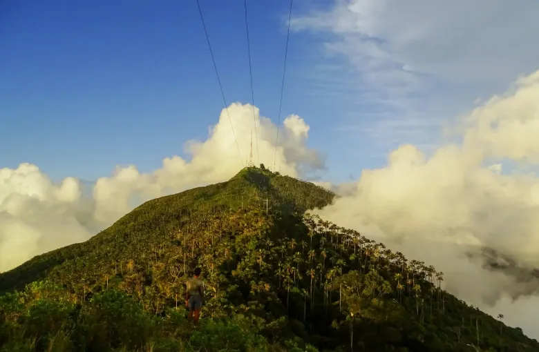 A lone walker on a cloud forest ridge in the Sierra Nevada de Santa Marta, wax palms on the slope and cloud banked below the summit.
