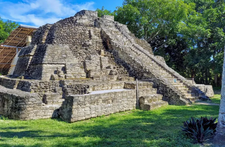 A stepped stone temple with a thatched shelter over part of its stair, standing in mown grass among tall palms.