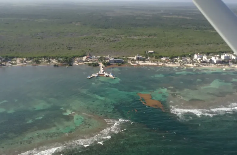 An aerial view along the coast, with a wing strut in frame, showing settlement, a road and shallow water over reef.