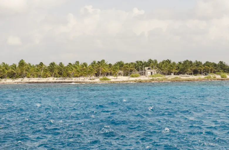 A long pale strip of shore between blue open water and a low green treeline, seen from offshore.