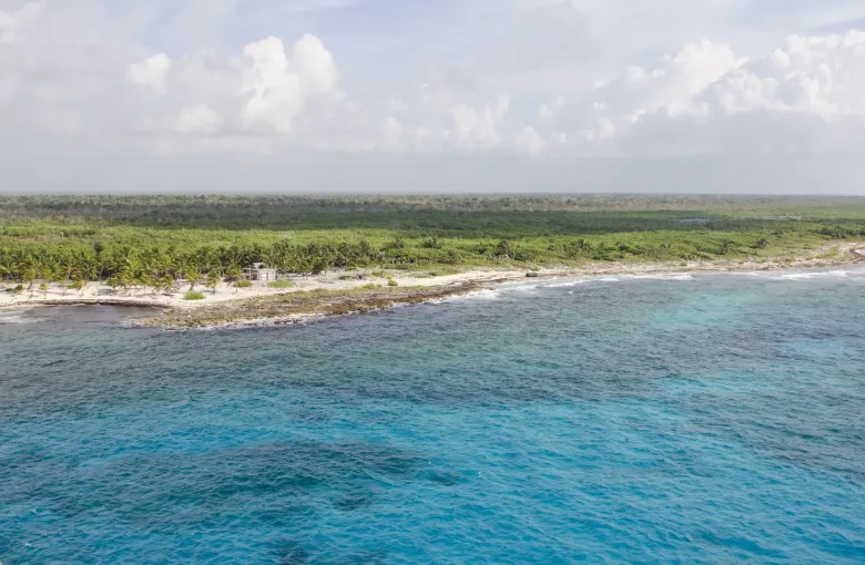 Clear blue water darkening over a reef close to shore, with a low band of green vegetation along the coast behind.
