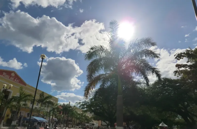 A wide seafront avenue with the sun flaring through tall palms and low colored buildings along the far side.