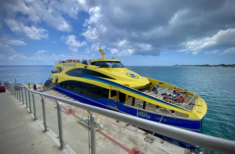 A blue and yellow passenger ferry moored alongside a concrete dock, seen over a metal safety railing.