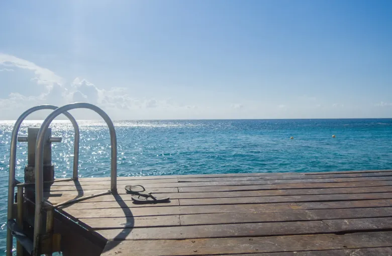 A metal ladder and handrail set into the edge of a timber pier above clear turquoise water.
