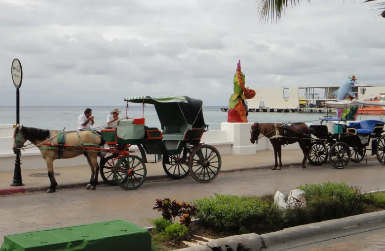 A seafront promenade under a gray sky, with horse-drawn carriages at the curb and the pier and boats beyond.