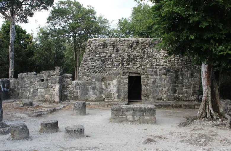 A long, low stone building with a doorway at one end and a large tree growing against its far corner.