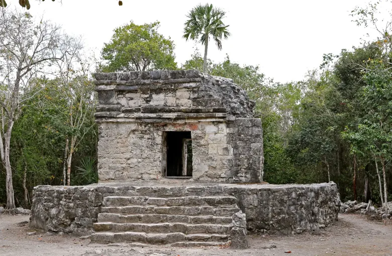A small stone building with a dark doorway and a broad flight of worn steps, standing among low trees.