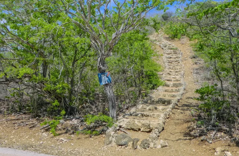 A stone stairway climbing a scrub-covered slope on a walking trail in Christoffel Park, Curaçao, with a walker part way up.