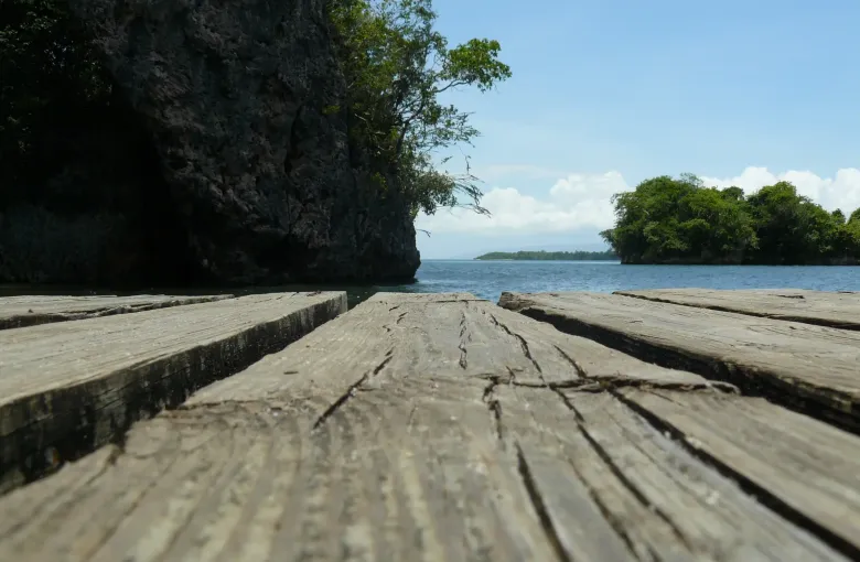 Weathered timber planking of a dock runs towards the water and the wooded karst of Los Haitises.