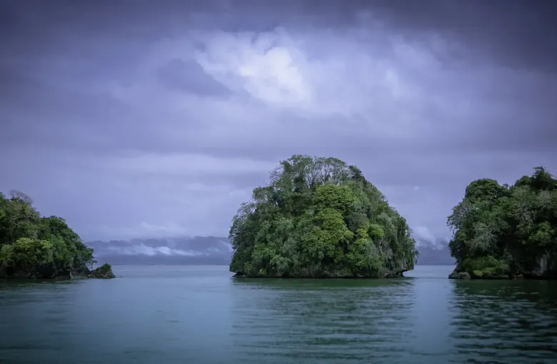 Forested limestone islets stand in still water under a heavy purple sky in Los Haitises National Park.