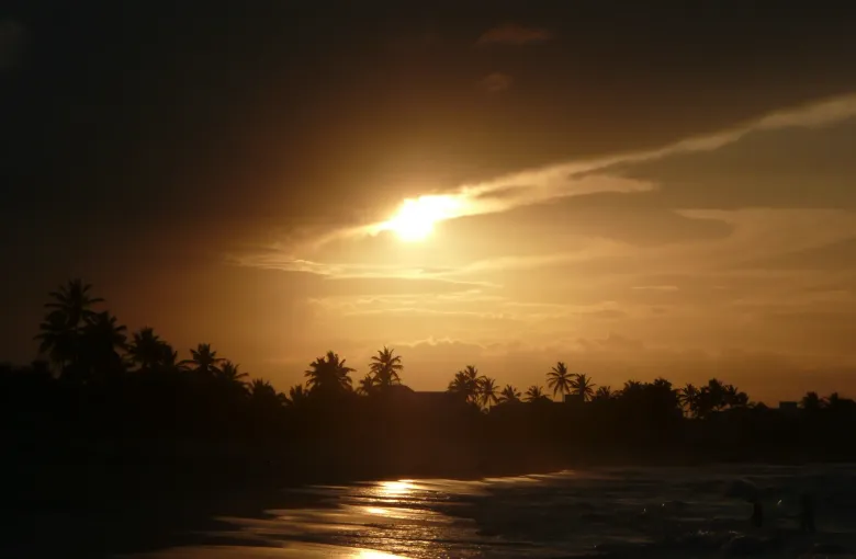 The sun sets over calm water behind a line of palms on the east coast of the Dominican Republic.