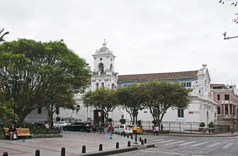 The white bell tower and tiled roof of Cuenca's Old Cathedral seen across the trees of Parque Calderon.