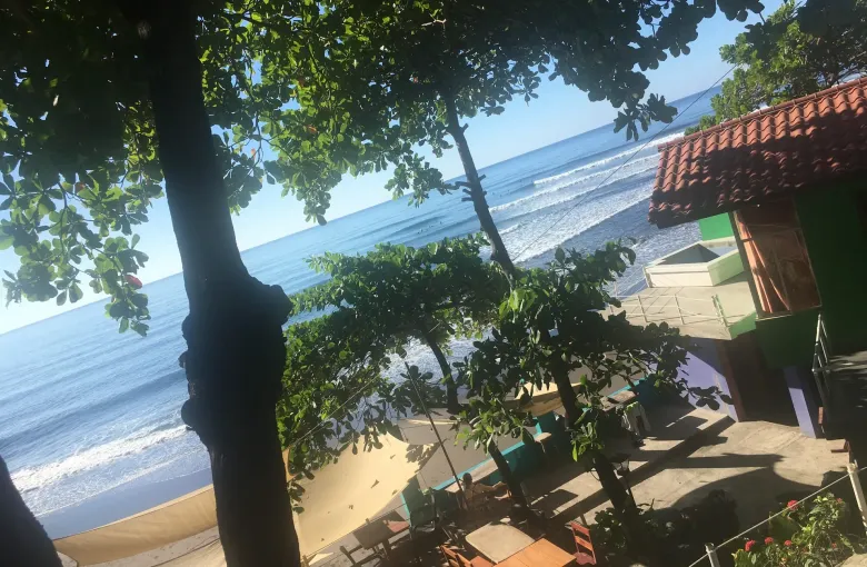 Surf breaking on a grey sand beach seen from under trees, with tiled roofs and outdoor tables in the shade.