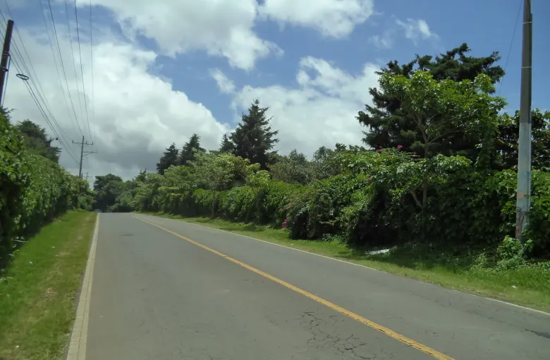 An empty two lane highway with a painted centre line running between thick green hedges under a cloudy sky.