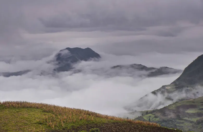 Cloud lying in a deep valley between grassy ridges in the Dizi highlands of southern Ethiopia.