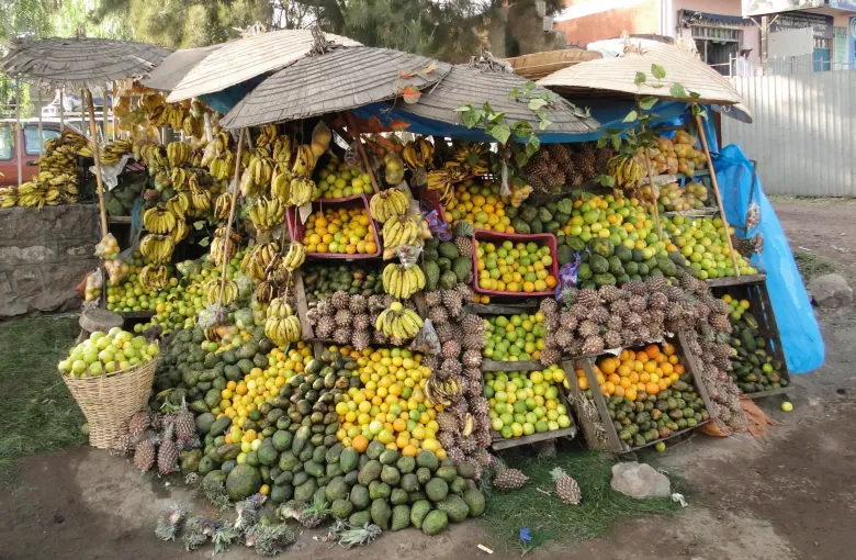 A roadside fruit stall at Shashemene, Ethiopia, under thatched umbrellas, stacked with bananas, citrus, pineapples and avocados.