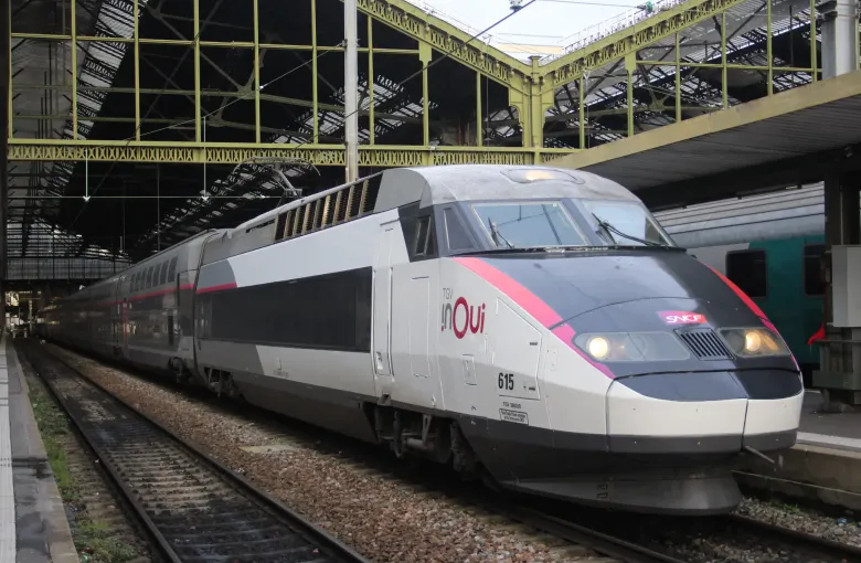 A high speed train standing under the ironwork train shed of the Gare de Lyon in Paris, nose toward the camera.