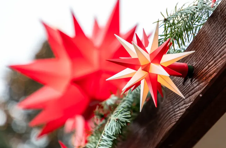 A red and a white Herrnhut star hung against fir branches and dark timber at the Dresden Striezelmarkt.