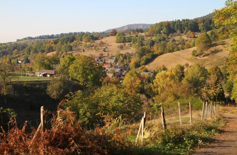 Wooded hills turning in autumn above Baden-Baden, with a village in the valley below and low sun across the slopes.