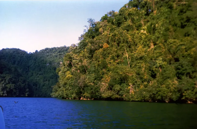 Jungle-covered walls rising from the green water of the Rio Dulce, on the river route down to the Caribbean coast.