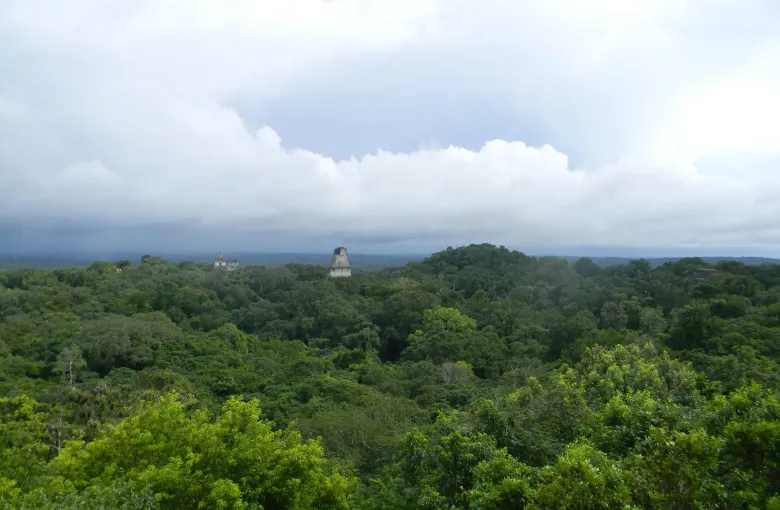 Two temple roof combs at Tikal rising above an unbroken rainforest canopy that runs to the horizon.