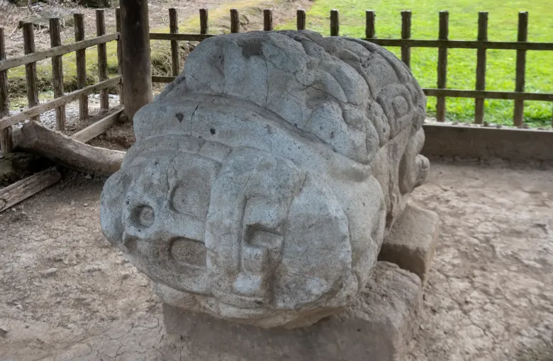A carved sandstone zoomorph at Quirigua, its face worked in deep relief, sheltered beneath a timber canopy.