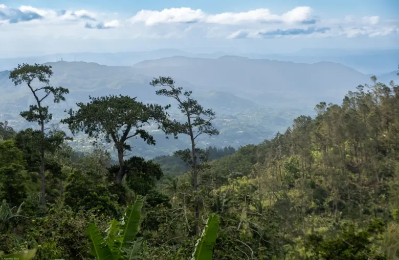 Forested ridges of the Blue and John Crow Mountains recede into cloud under a wide sky.